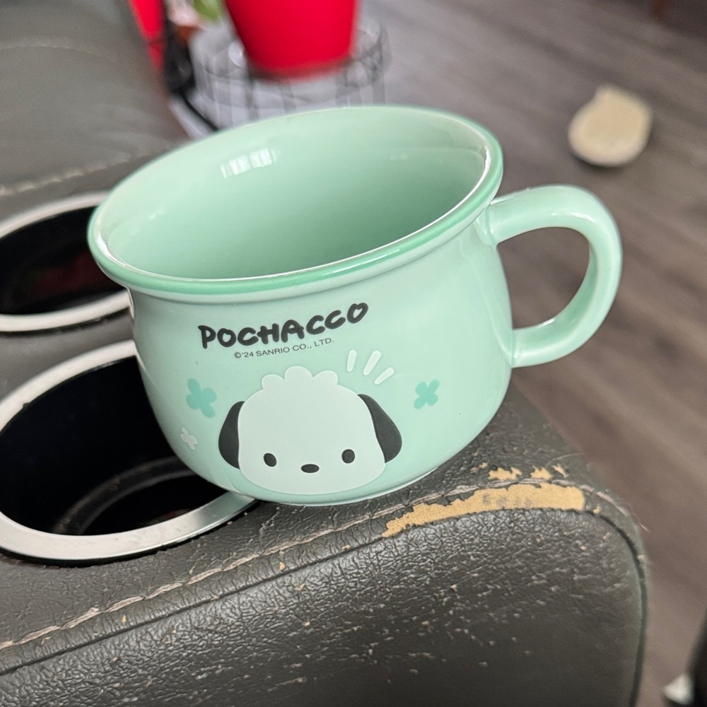 Sanrio Pochacco Pastel Green Cup